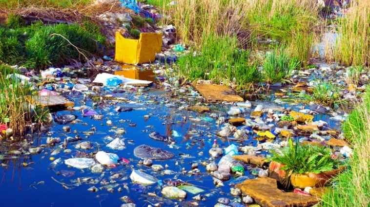 Essay on Environment Pollution in Hindi